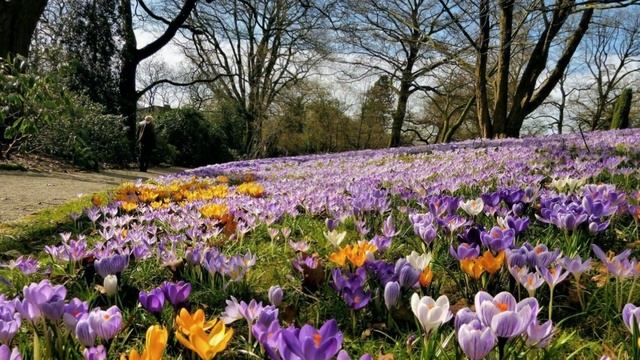 Стих "Воскресение Христово" смотреть онлайн