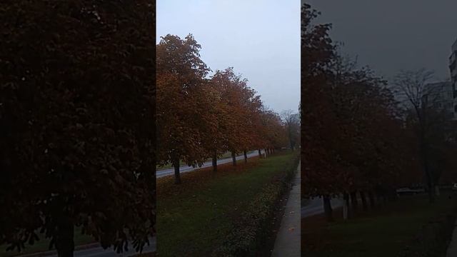 Осенние каштаны смотреть онлайн