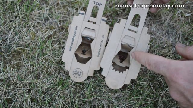 A 2nd Look At the Evo Trapz Cardboard Mousetrap (Newly Improved Design) смотреть онлайн