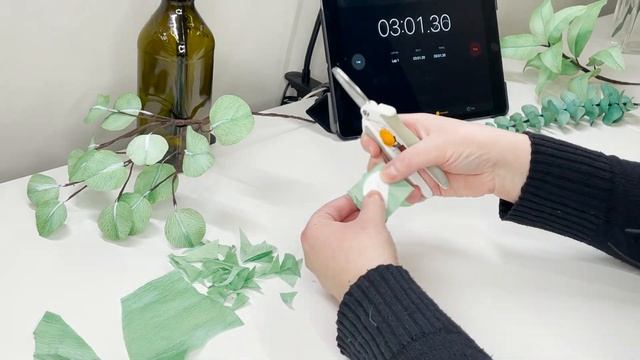 Cricut V Cutting | Which Is Quicker? | Silver Dollar Eucalyptus