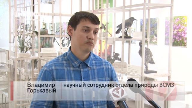 Выставка в Музее природы смотреть онлайн