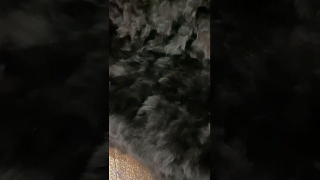 Плед-покрывало с меха песца(лоскут) смотреть онлайн