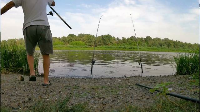 Рыбалка на Дону в Ростовской области Август . РЫБАЛКА НА ДОНКИ НА КАРАСЯ\ С НОЧЁВКОЙ. смотреть онлайн