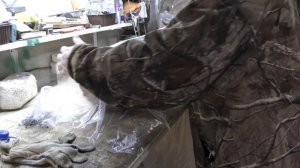 Как вырастить грибы вешенки на пнях. Часть 1 Посадка.