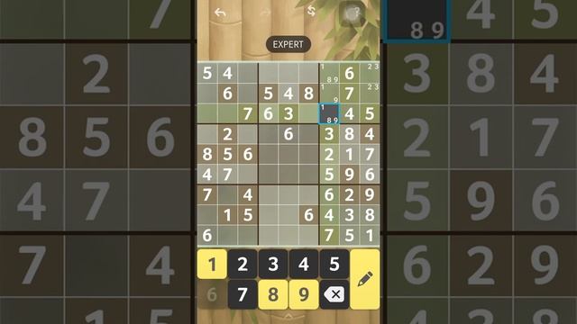 Brainium sudoku level: expert game 12 смотреть онлайн