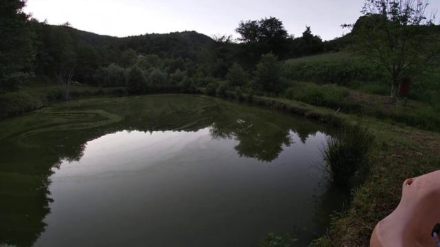 Конная прогулка Абхазия Лдзаа (конечная остановка) смотреть онлайн