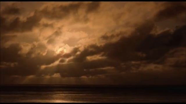 Компания Моринда. Видео Происхождение и судьба как нашли нони смотреть онлайн