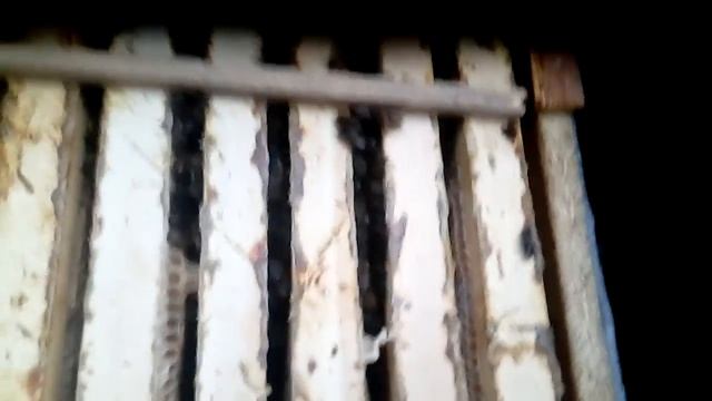 БОРЬБА С СЫРОСТЬЮ В УЛЬЯХ , СОЛОМА ВМЕСТО ПОДУШЕК . смотреть онлайн