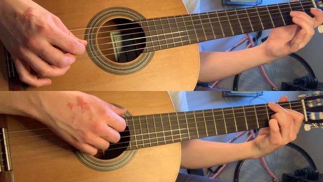 Excerpt from "Blumenleid" by Gustav Lange (Guitar Duet) смотреть онлайн