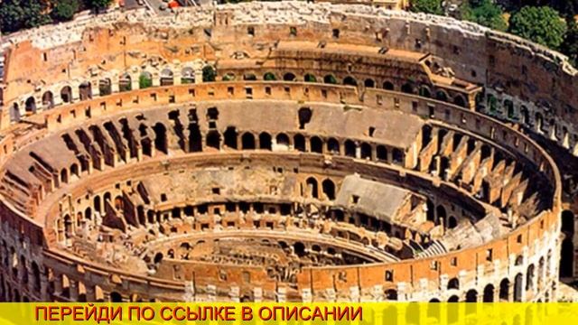 airline ticket word_crossword смотреть онлайн