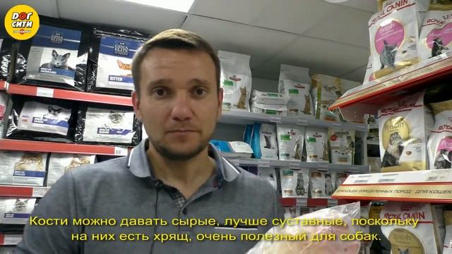 Какие кости можно давать собаке смотреть онлайн