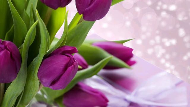 С 8 Марта, девочки! смотреть онлайн