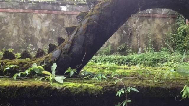 Заброшенный отель Bedugul Taman смотреть онлайн
