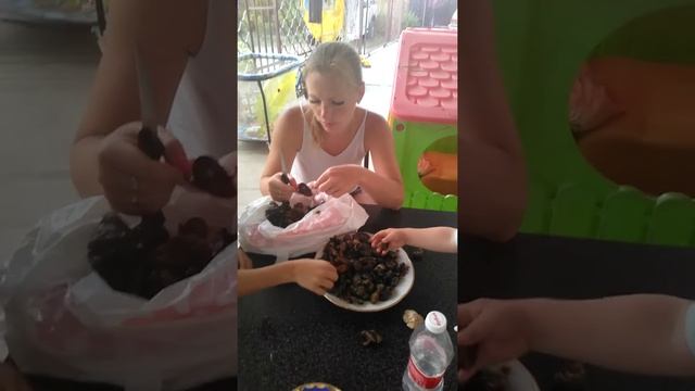 Морские мидии. Агой. смотреть онлайн