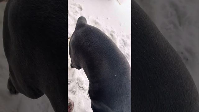 Ветер утих и хорошо так стало 🥰 смотреть онлайн