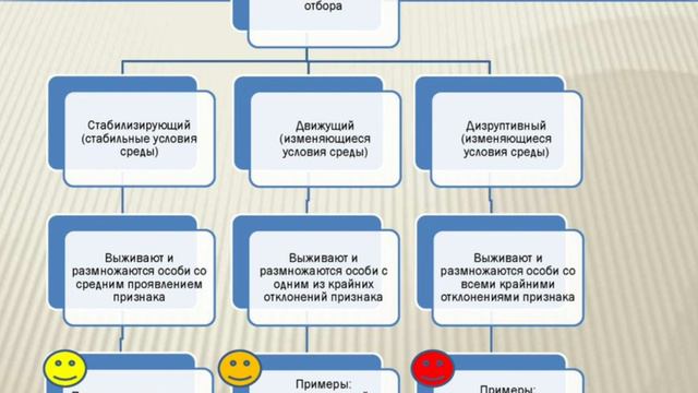 Сырымбетов С.Т. Эволюционное учение. Лекция №9 смотреть онлайн