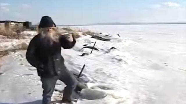 ВЫ КТО ТАКИЕ, Я ВАС НЕ ЗВАЛ, ИДИТЕ НА. ВСЕ ПРИКОЛЫ С ОТШЕЛЬНИКОМ смотреть онлайн