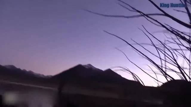 ГОРНАЯ ОХОТА 2021.ОХОТА НА МАРАЛА ЛУЧШИЕ ВЫСТРЕЛЫ МОМЕНТЫ-Красивая охота#1|Maral hunting| смотреть онлайн