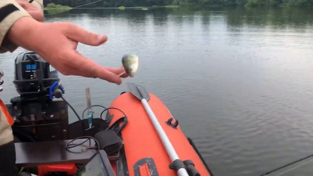 Продолжаем рыбачить. Озёра, город Мыски, Бородино. смотреть онлайн