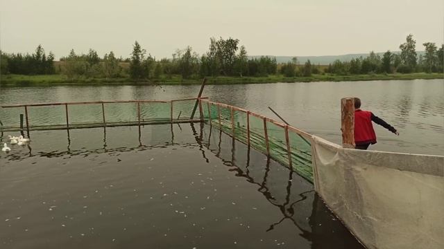 Где на Руси жить хорошо? Город или деревня. смотреть онлайн