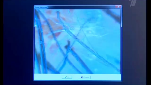 Можно ли мыть голову?