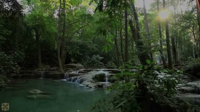 Sleep Talk Down: Abundance, Love & Happiness Guided Sleep Meditation By Jason Stephenson