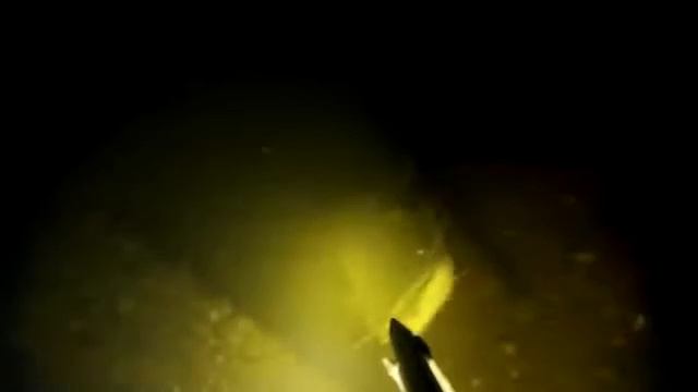 Сомы гиганты! Рыбалка! смотреть онлайн