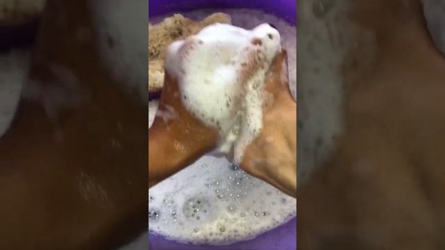 Мыление туалетного мыла «BioMio”