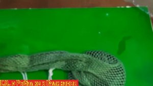Бюджетная кормушка КОШЕЛЬ, для ловли леща на кольцо стоит 200 рублей.  Кормушка на кольцо  5 литров