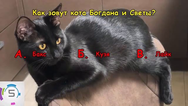 ЛУНОМОСИК | Насколько хорошо ты знаешь Луномосика? смотреть онлайн