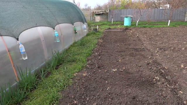 В тайских нарядах по кубанскому огороду💃 Теплицы защищены от котиков😻Высадила капусту🥦 Свой дом 🏡 смотреть онлайн