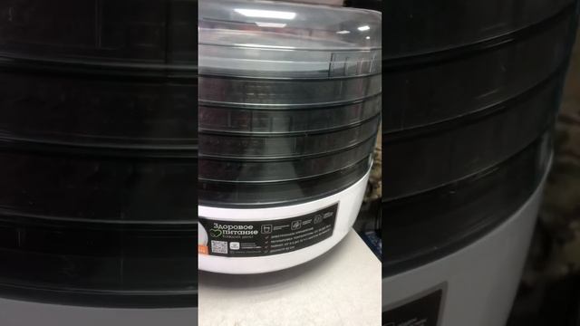 10 января 2024 г. смотреть онлайн