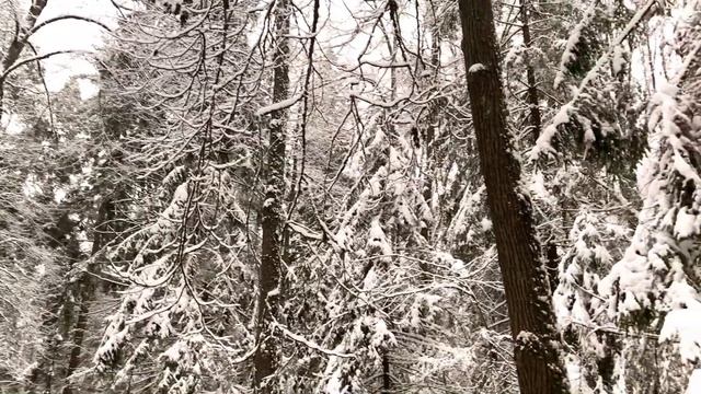 Мороз согревающий смотреть онлайн