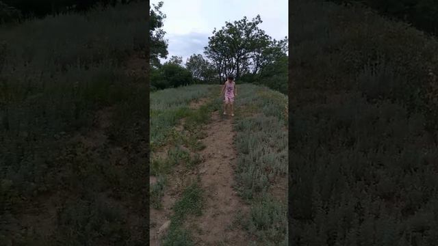 Иван гора смотреть онлайн