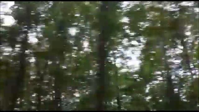 "Исчезновение капли" - Тедди Оушен (Месяц 6, день 18) смотреть онлайн