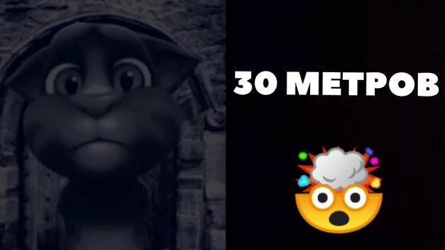 том реакция на то на сколько метров поднялось море смотреть онлайн