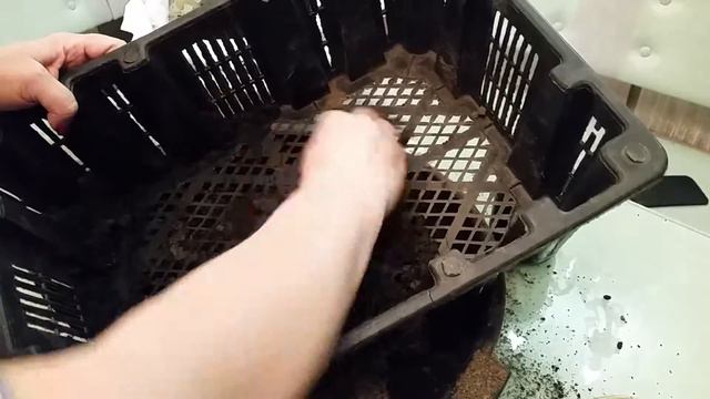 Подготовка грунта для рассады. Продолжение. Обработка препаратом Флора-С смотреть онлайн