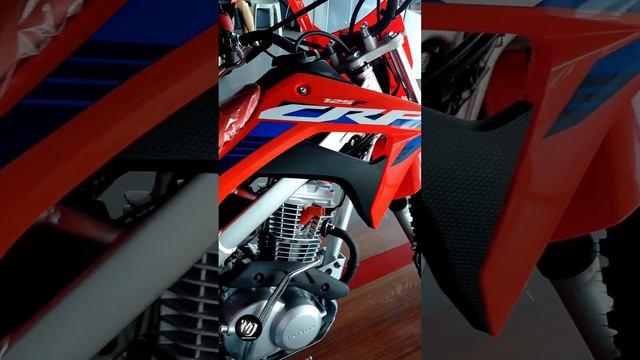 All New 2023 Honda CRF 125F #iMarkMoto смотреть онлайн