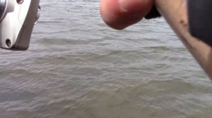 Ловля карася на фидер (пикер) ранней весной по холодной воде