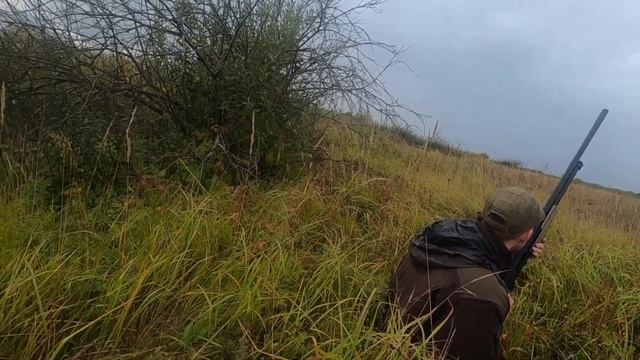 Ходовая охота с дратхааром на утку 2021. смотреть онлайн