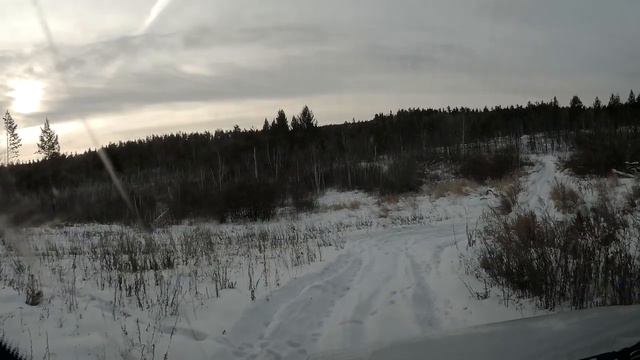 На Патриоте по лесным дорогам смотреть онлайн