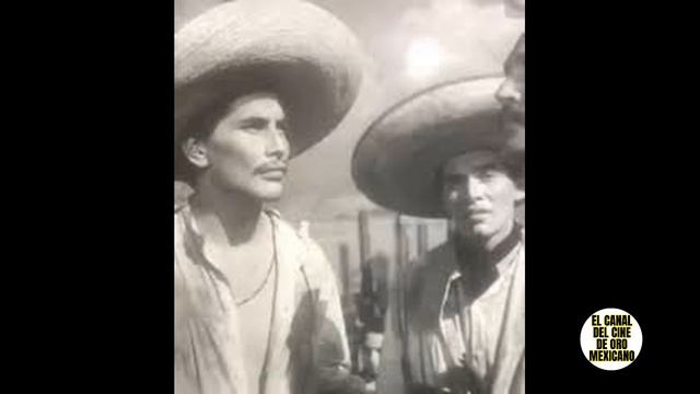 ⭐️"Los FERNÁNDEZ" una vida llena de escándalos y muerte⭐️ смотреть онлайн