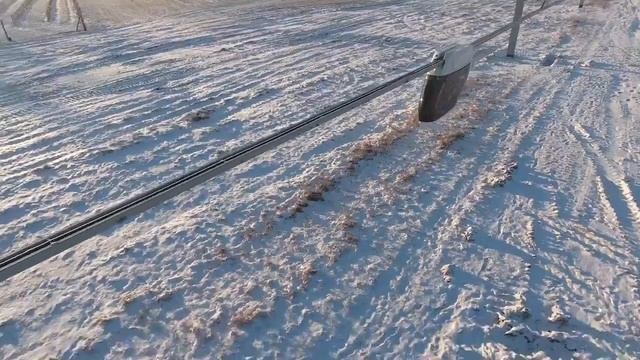Юнибайк в действии смотреть онлайн
