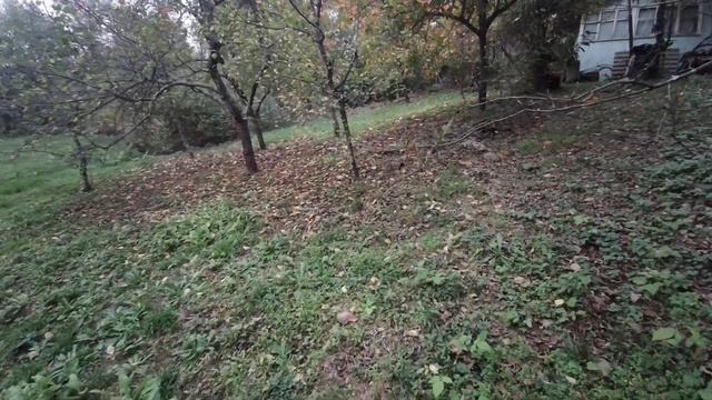 #Сочи#Земля Идеальная дача смотреть онлайн