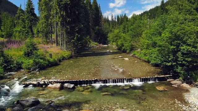 Самая красивая музыка, можно слушать бесконечно !!!Трогательная музыка для души #музыка #sleep