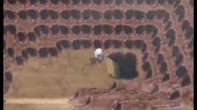 животные борьба в грузовик смотреть онлайн