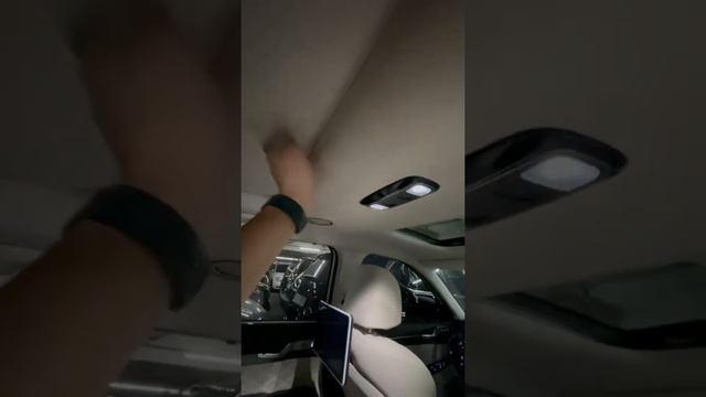 Hyundai Palisade смотреть онлайн