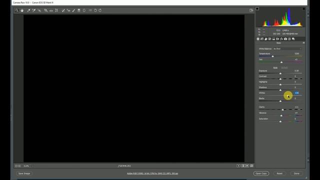 How to use the clipping warning feature in Adobe Camera RAW & Photoshop смотреть онлайн
