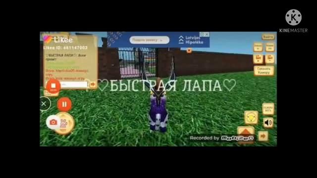 Cute Pocket Cat 3D part 2 - Игра нашего детства смотреть онлайн