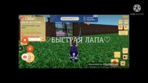 Cute Pocket Cat 3D part 2 - Игра нашего детства